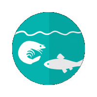 The current eleven ASC standards cover 17 species groups ...