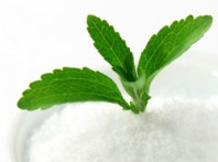 Γλυκαντικό Στέβια - Lat. Stevia rebaudania