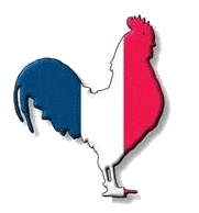 Présentation d‘activité