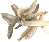 Αθερίνα, η Σουβλίτης