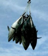 Θετική η τελευταία εικόνα 